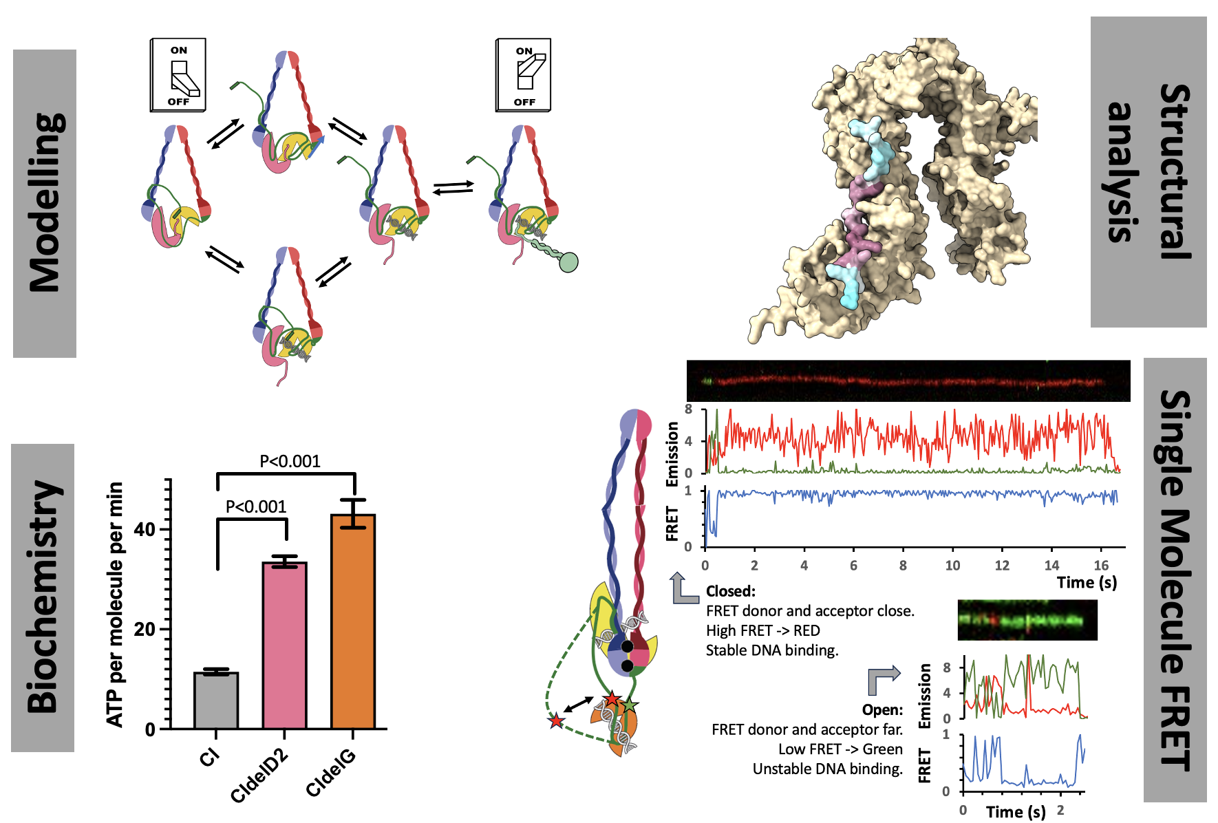 Schets Lab Projects – Cutts Lab